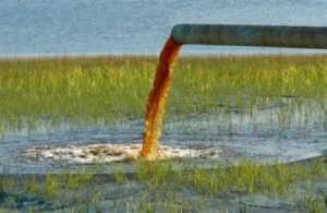 Ελαιουργείο πέταγε απόβλητα σε ποταμό στο Ρέθυμνο
