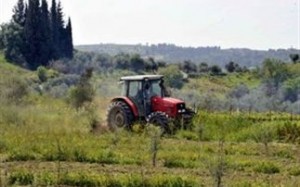 Προχωρούν οι αποζημιώσεις αγροτών στην Κρήτη