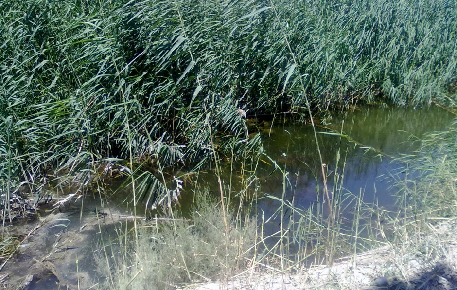 Ας προνοήσουν οι αρμόδιοι για το ποτάμι στο Καρτερό