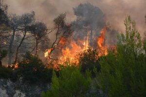 Έσβησε η πυρκαγιά στους Αστρακούς