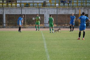 Pics | Ο… τετράποδος επισκέπτης στο Νεάπολη- Πόρος