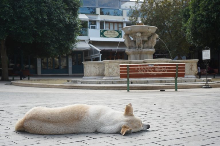 ΚΟΥΡΑΣΤΗΚΑΜΕ!