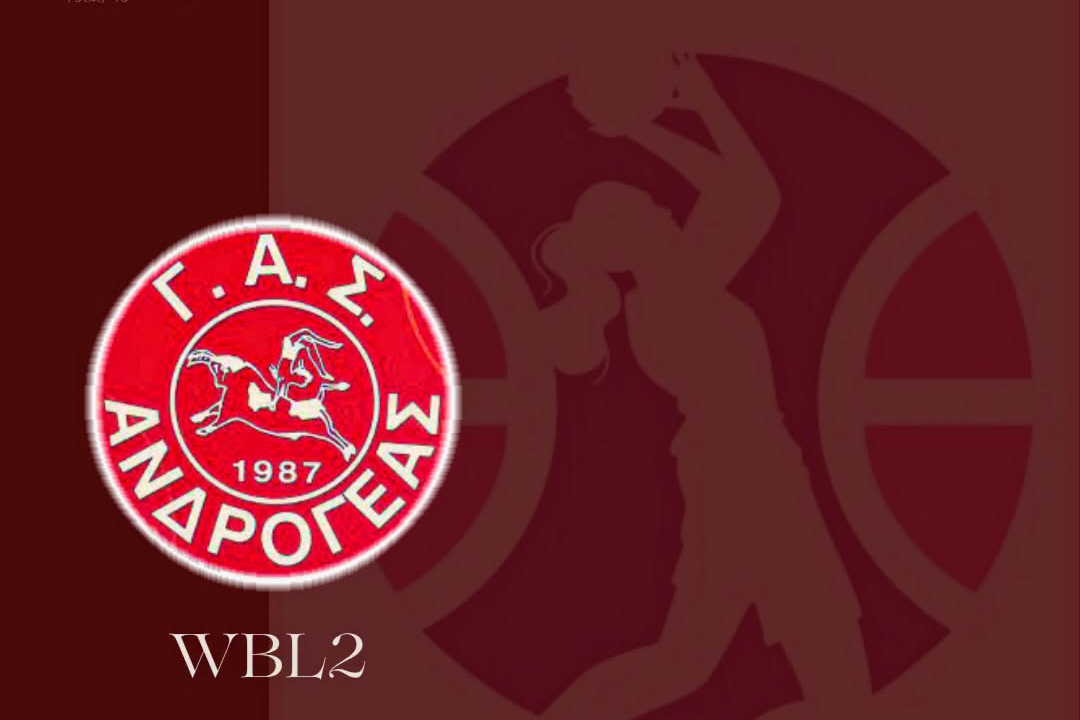 Με wild card στην Α2 τη νέα σεζόν ο Ανδρογέας!