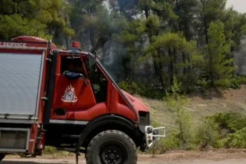 Κρήτη: Πολύ υψηλός κίνδυνος πυρκαγιάς σε όλους τους νομούς – Αυστηρές απαγορεύσεις
